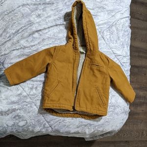 Crazy 8  toddler Boys size 12 -18 months Jacket